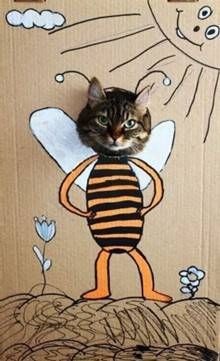 tierisch Pippilotta